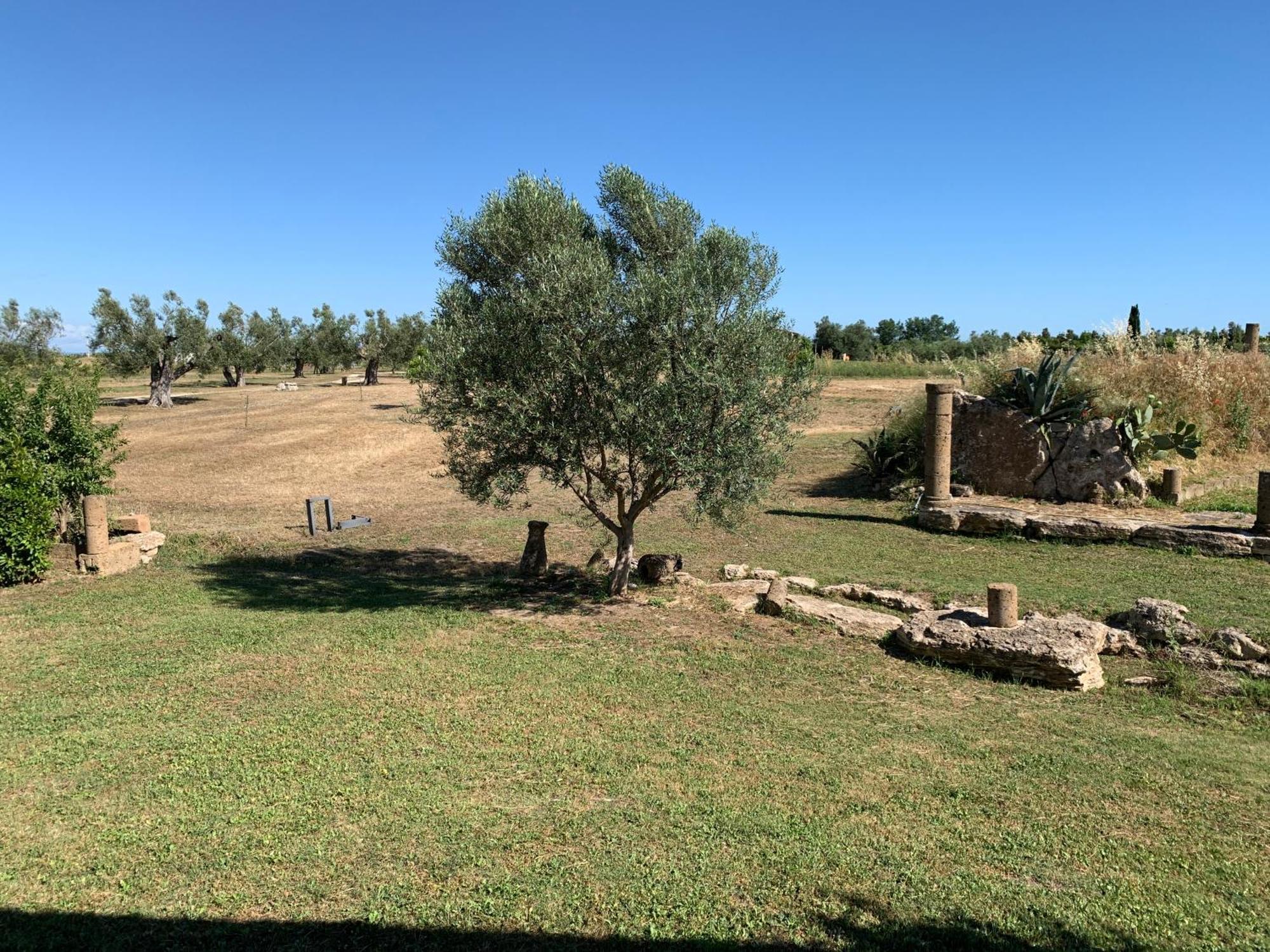 Resort Fonte Vulci Canino Exterior photo